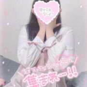 ヒメ日記 2026/02/10 23:12 投稿 れんな 30分3900円！サンキュー静岡店（サンキューグループ）