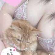 ヒメ日記 2026/02/14 05:12 投稿 れんな 30分3900円！サンキュー静岡店（サンキューグループ）