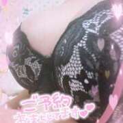 ヒメ日記 2026/02/14 22:22 投稿 れんな 30分3900円！サンキュー静岡店（サンキューグループ）