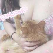 ヒメ日記 2026/03/29 19:12 投稿 れんな 30分3900円！サンキュー静岡店（サンキューグループ）