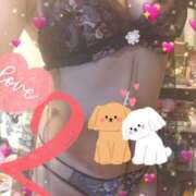 ヒメ日記 2024/12/27 19:02 投稿 ももこ しろうさぎ