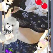 ヒメ日記 2025/02/18 20:02 投稿 ももこ しろうさぎ