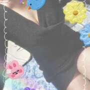 ヒメ日記 2025/03/19 19:53 投稿 ももこ しろうさぎ