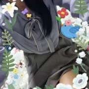 ヒメ日記 2025/04/25 20:03 投稿 ももこ しろうさぎ