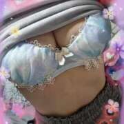 ヒメ日記 2025/05/03 19:53 投稿 ももこ しろうさぎ