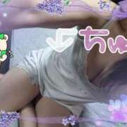 ヒメ日記 2025/06/23 21:43 投稿 ももこ しろうさぎ