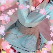 ヒメ日記 2025/07/15 14:23 投稿 ももこ しろうさぎ