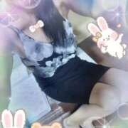 ヒメ日記 2025/08/01 20:04 投稿 ももこ しろうさぎ