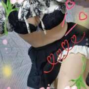 ヒメ日記 2025/08/14 19:53 投稿 ももこ しろうさぎ