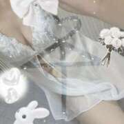 ヒメ日記 2025/08/16 19:53 投稿 ももこ しろうさぎ