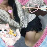 ヒメ日記 2025/08/28 19:53 投稿 ももこ しろうさぎ