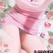 ヒメ日記 2025/10/29 20:03 投稿 ももこ しろうさぎ