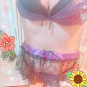 ヒメ日記 2025/11/13 20:13 投稿 ももこ しろうさぎ