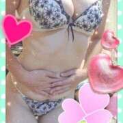 ヒメ日記 2025/11/14 20:03 投稿 ももこ しろうさぎ