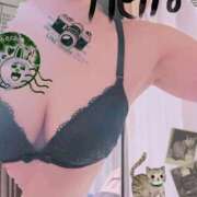 ヒメ日記 2026/01/30 20:33 投稿 ももこ しろうさぎ