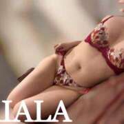 ヒメ日記 2025/09/19 10:43 投稿 梨愛姫【りあら】 輝女