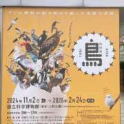 ヒメ日記 2024/12/11 21:03 投稿 ちえみ えちちSPA-えっちな回春性感マッサージ-五反田店