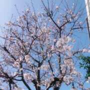 ヒメ日記 2025/04/04 08:13 投稿 ちえみ えちちSPA-えっちな回春性感マッサージ-五反田店