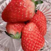 ヒメ日記 2025/04/05 00:47 投稿 ちえみ えちちSPA-えっちな回春性感マッサージ-五反田店