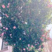 ヒメ日記 2025/04/07 11:49 投稿 ちえみ えちちSPA-えっちな回春性感マッサージ-五反田店