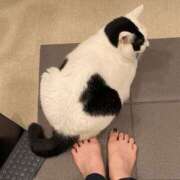 ヒメ日記 2025/04/08 09:32 投稿 ちえみ えちちSPA-えっちな回春性感マッサージ-五反田店