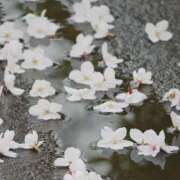 ヒメ日記 2025/04/10 21:13 投稿 ちえみ えちちSPA-えっちな回春性感マッサージ-五反田店