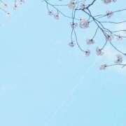 ヒメ日記 2025/04/19 14:09 投稿 ちえみ えちちSPA-えっちな回春性感マッサージ-五反田店