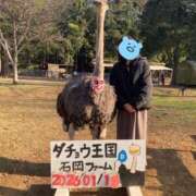 ヒメ日記 2026/01/18 17:52 投稿 ちえみ えちちSPA-えっちな回春性感マッサージ-五反田店