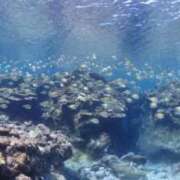 ヒメ日記 2025/08/08 00:11 投稿 ももか オレンジBOX