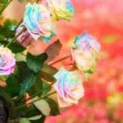 ヒメ日記 2025/10/25 12:01 投稿 ももか オレンジBOX