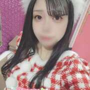 ヒメ日記 2024/12/22 13:04 投稿 まゆ チューリップ福井別館