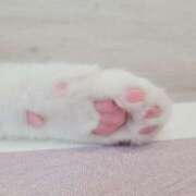 ヒメ日記 2025/01/18 11:26 投稿 まゆ チューリップ福井別館