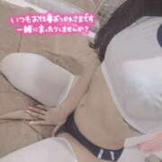 ヒメ日記 2025/05/20 20:34 投稿 まゆ チューリップ福井別館