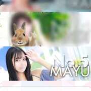 ヒメ日記 2025/08/13 19:44 投稿 まゆ チューリップ福井別館