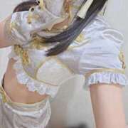 ヒメ日記 2025/09/29 01:35 投稿 まゆ チューリップ福井別館