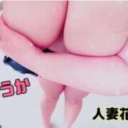 ヒメ日記 2024/12/13 14:36 投稿 ふうか 沼津人妻花壇