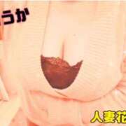 ヒメ日記 2024/12/17 13:59 投稿 ふうか 沼津人妻花壇