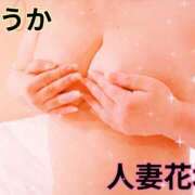 ヒメ日記 2024/12/22 02:46 投稿 ふうか 沼津人妻花壇