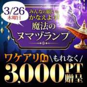 ヒメ日記 2026/03/26 12:21 投稿 ふうか 沼津人妻花壇