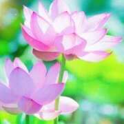 ヒメ日記 2025/10/14 10:35 投稿 さくら アイスキャンディーラブ