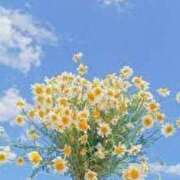 ヒメ日記 2026/02/03 19:13 投稿 さくら アイスキャンディーラブ