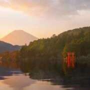 ヒメ日記 2025/11/08 08:07 投稿 ゆう 岐阜岐南各務原ちゃんこ