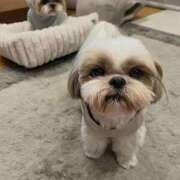 ヒメ日記 2025/11/20 10:07 投稿 ゆう 岐阜岐南各務原ちゃんこ