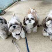 ヒメ日記 2025/11/27 15:17 投稿 ゆう 岐阜岐南各務原ちゃんこ