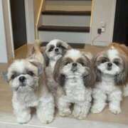 ヒメ日記 2025/12/01 15:07 投稿 ゆう 岐阜岐南各務原ちゃんこ