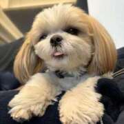 ヒメ日記 2026/01/27 10:17 投稿 ゆう 岐阜岐南各務原ちゃんこ