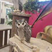 ヒメ日記 2025/04/03 11:27 投稿 りり 熟女の風俗最終章 西川口店