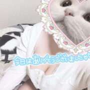 ヒメ日記 2025/08/26 00:22 投稿 める 水戸人妻花壇