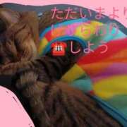 ヒメ日記 2025/02/07 22:09 投稿 にこ One More 奥様　松戸店