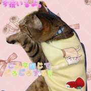 ヒメ日記 2025/04/18 14:49 投稿 にこ One More 奥様　松戸店